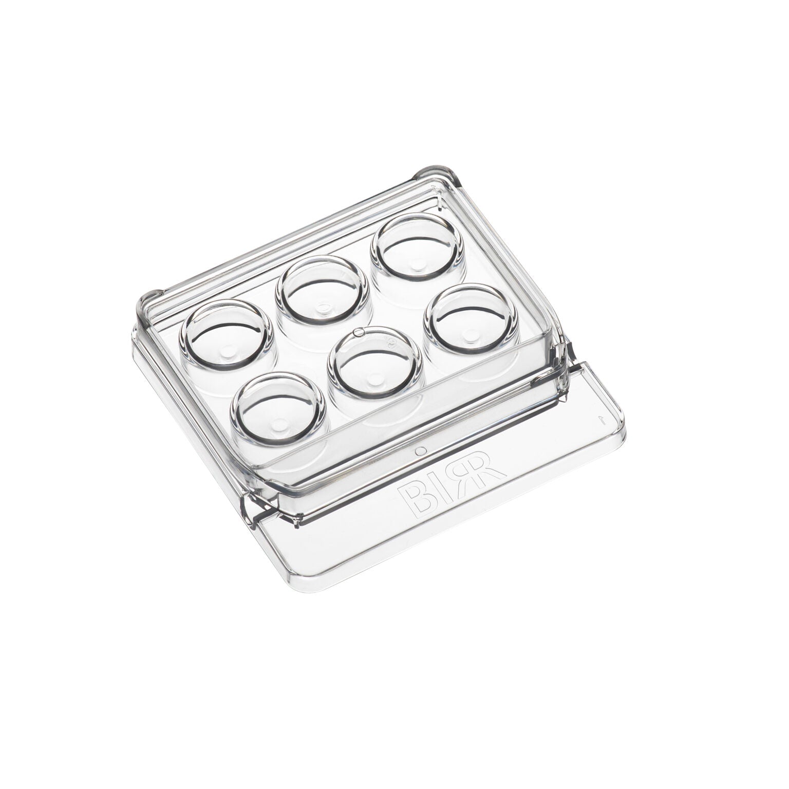 BIRR 6-Well Dish