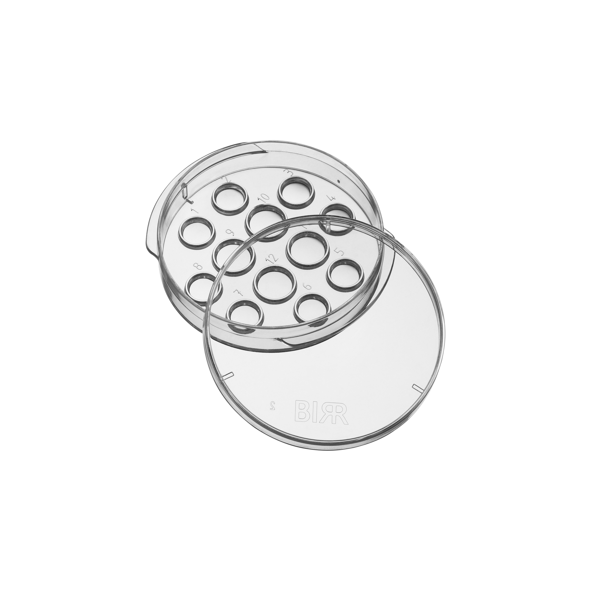 BIRR 4 + 8 Well Dish