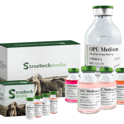 Stroebech Equine Media Products