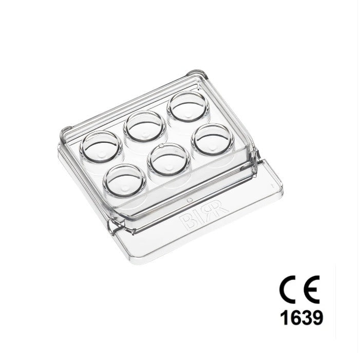 BIRR 6-Well Dish